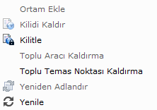 Etki alanı menüsü seçenekleri arasında Ortam Ekle, Toplu Aracı Kaldırma, Toplu Temas Noktası Kaldırma ve Yeniden Adlandır yer alır.