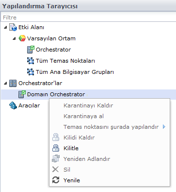 Orkestratörler düğümü altında bir Orkestratör seçtiğinizde gördüğünüz ayrıntılar, bu Orkestratör'ün temas noktası ile değil, ana bilgisayarla ilgilidir.