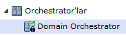 Orkestratörler düğümünde bir Orkestratör için ana bilgisayara özgü ayarları yapılandırır ve fiziksel bilgileri görüntülersiniz.