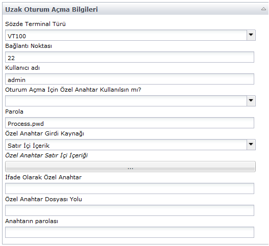 SS Komut Dosyasını Çalıştırma İşleci Uzaktan Oturum Açma Parametreleri