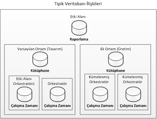 Raporlama veritabanı tüm ortamlar için kayıt tutar; genellikle ortam başına bir kütüphane veritabanı ve Orkestratör başına bir işlem veritabanı vardır.