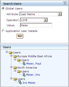 Results of Search Global Users with Last Name LIKE Meier.