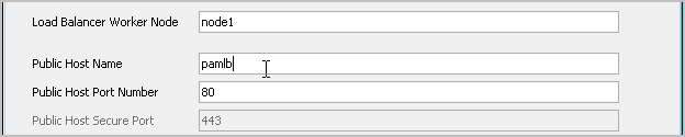 The entry for Public Host Name must be mapped to an IP address that will accept an HTTP GET request.