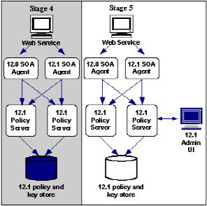 Migration stages 4 and 5