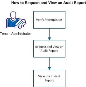 Diagram illustrates the process of requesting and viewing an audit report