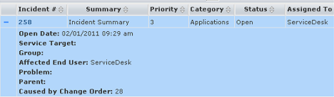 Data Grid Expanded Details