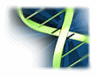 X--Bookshelf: DNA green GIF