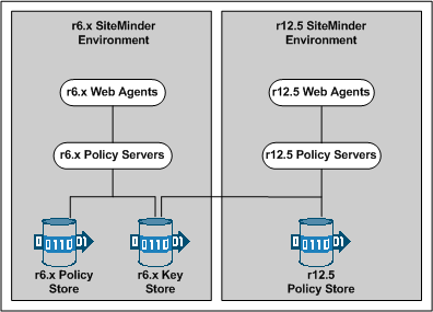 Graphic showing an r6.x common key store deployment