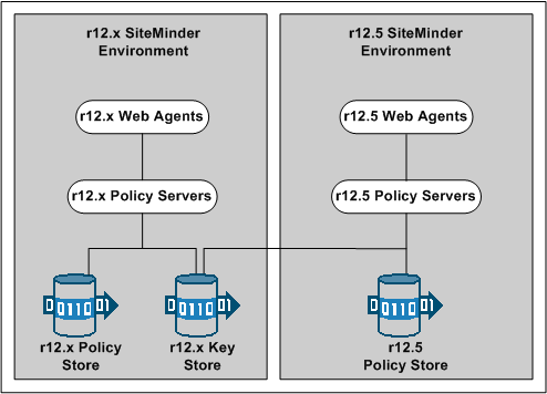 Graphic showing the r12.x common key store deployment