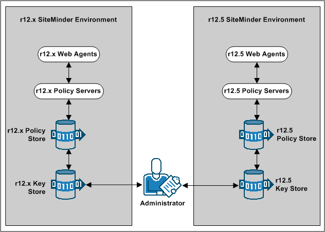 Graphic showing an r12.x multiple key store deployment