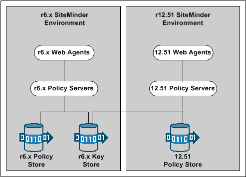 Graphic showing an r6.x common key store deployment