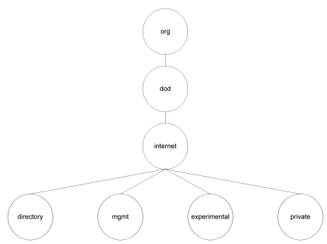 Graphic showing the upper part of the ISO branch