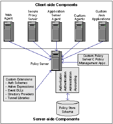 Graphic showing the Client side and Server side components of SiteMinder