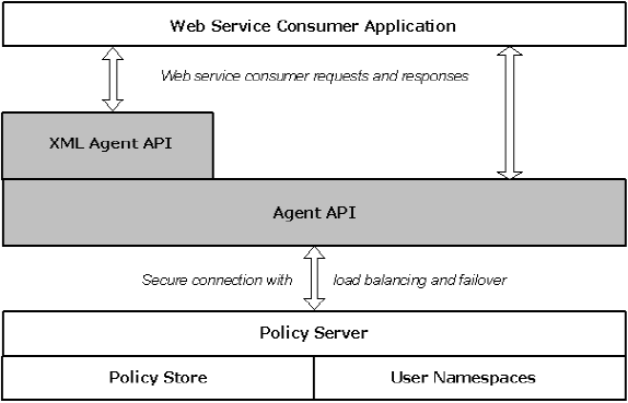 Agent Function Architecture