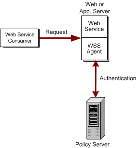 Diagram illustrating the single step authentication process