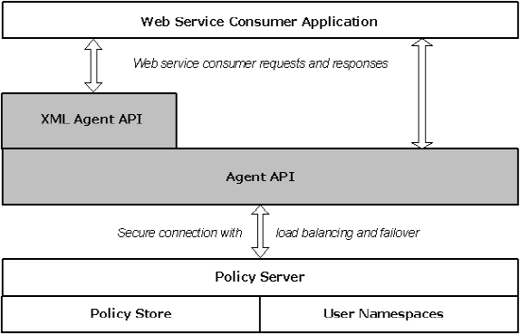 Agent Function Architecture