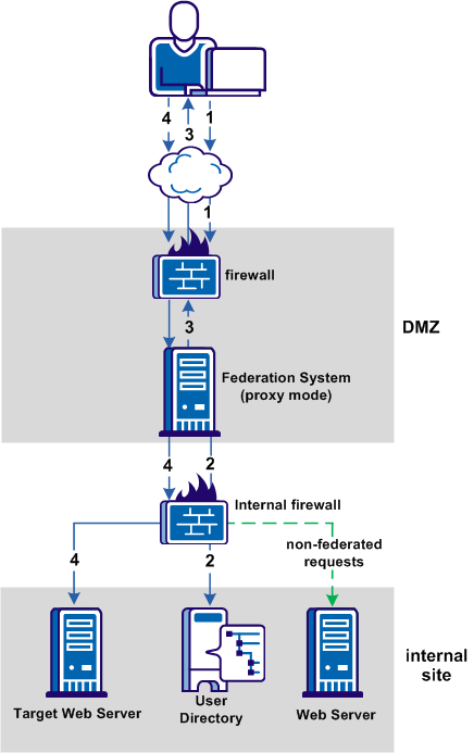 Graphic showing the Proxy Mode Architecture