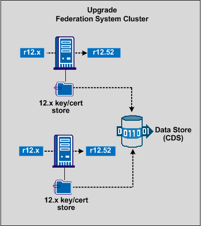 Graphic showing the Federation system cluster upgrade path