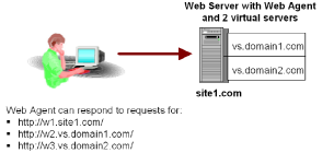 multidomains