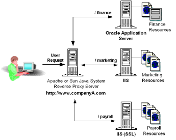 apachereverse1