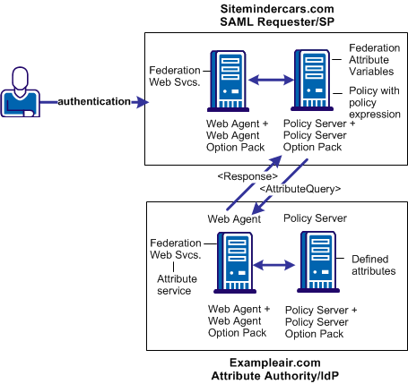 Graphic showing user authorization based on a user attribute