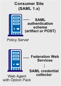 Graphic showing the SAML 1.x Authentication Scheme Components