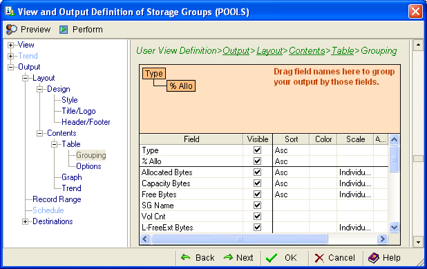 This illustration is a screen shot example of the Grouping page of the View and Output Definition Wizard.