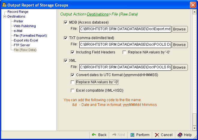This illustration is a screen shot example of the Output Action, Destinations, File (Raw Data) page of the Output Report wizard.