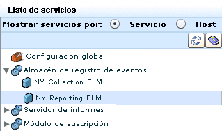 Seleccione el servidor de informes en la lista de servicios.