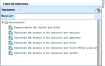 Esta imagen muestra una lista de los informes que se encuentran en la etiqueta de informe de CA Access Control.