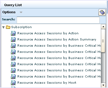 This pictures shows the list of queries that displays when you select the CA Access Control query tag.