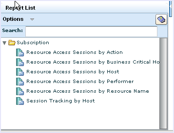 This picture shows a list of the reports under the CA Access Control report tag.