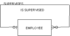 Modeling Hierarchies and Networks (2)