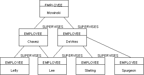 Modeling Hierarchies and Networks (3)