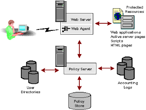 Graphic showing a SiteMinder deployment in which the agents reside in a web server