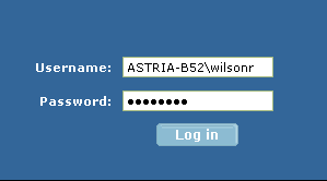 Log In Using Domain Name